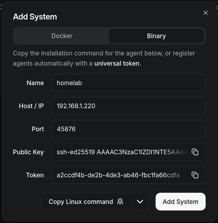 Read the generated binary-agent install command for the server host.
