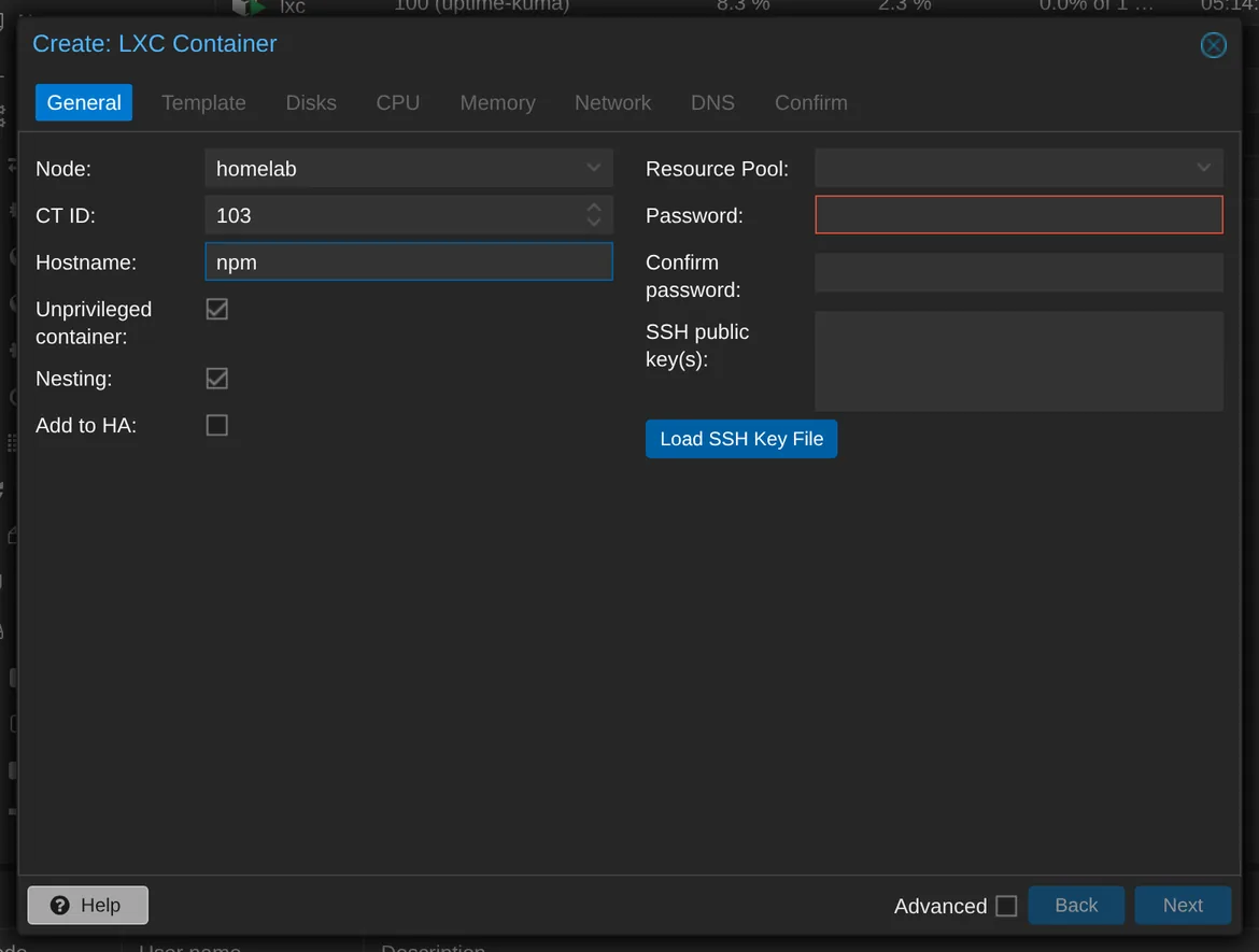 Set the CT ID, hostname, and network address for the NPM container.