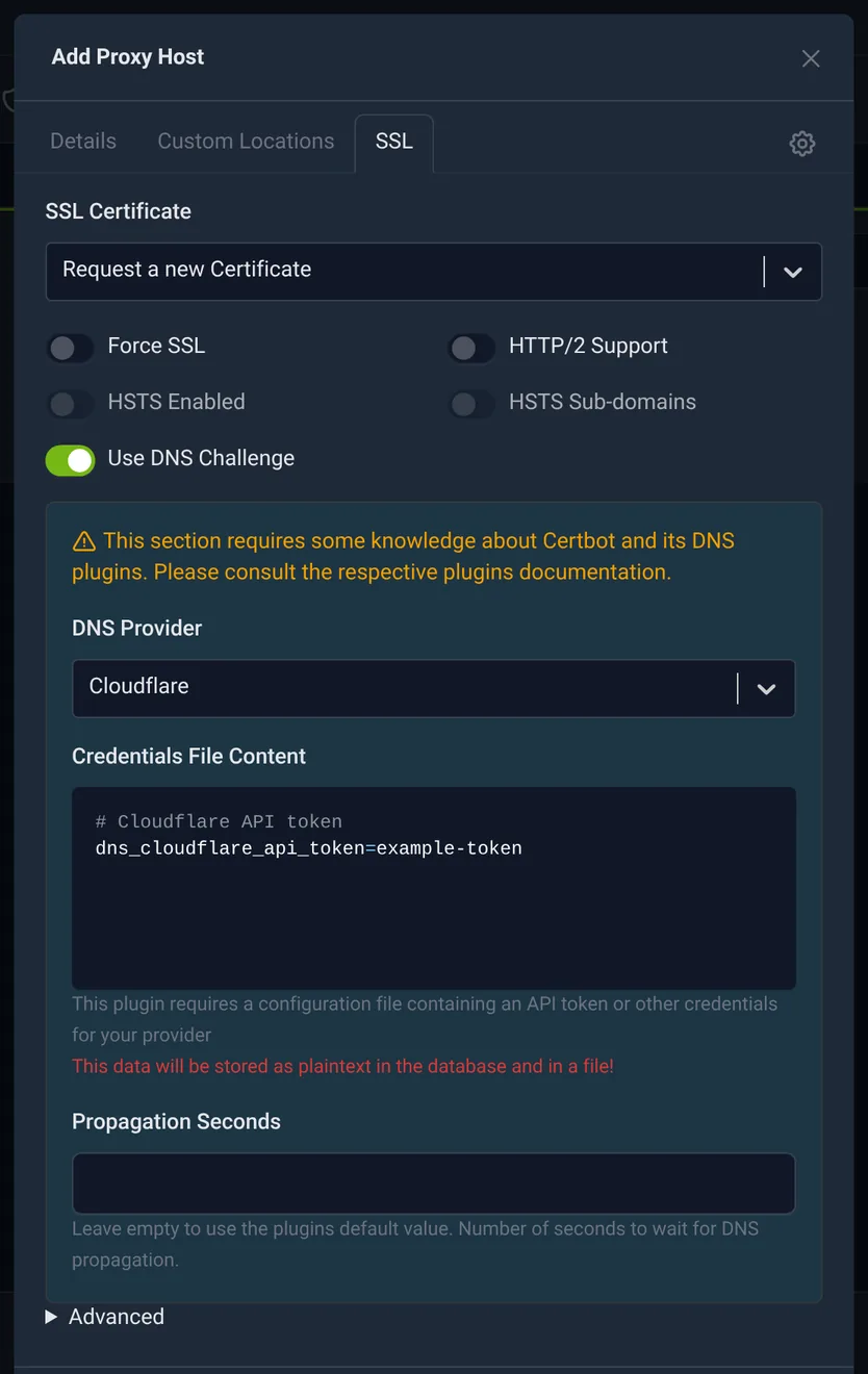 Request a Let's Encrypt certificate through a Cloudflare DNS challenge.