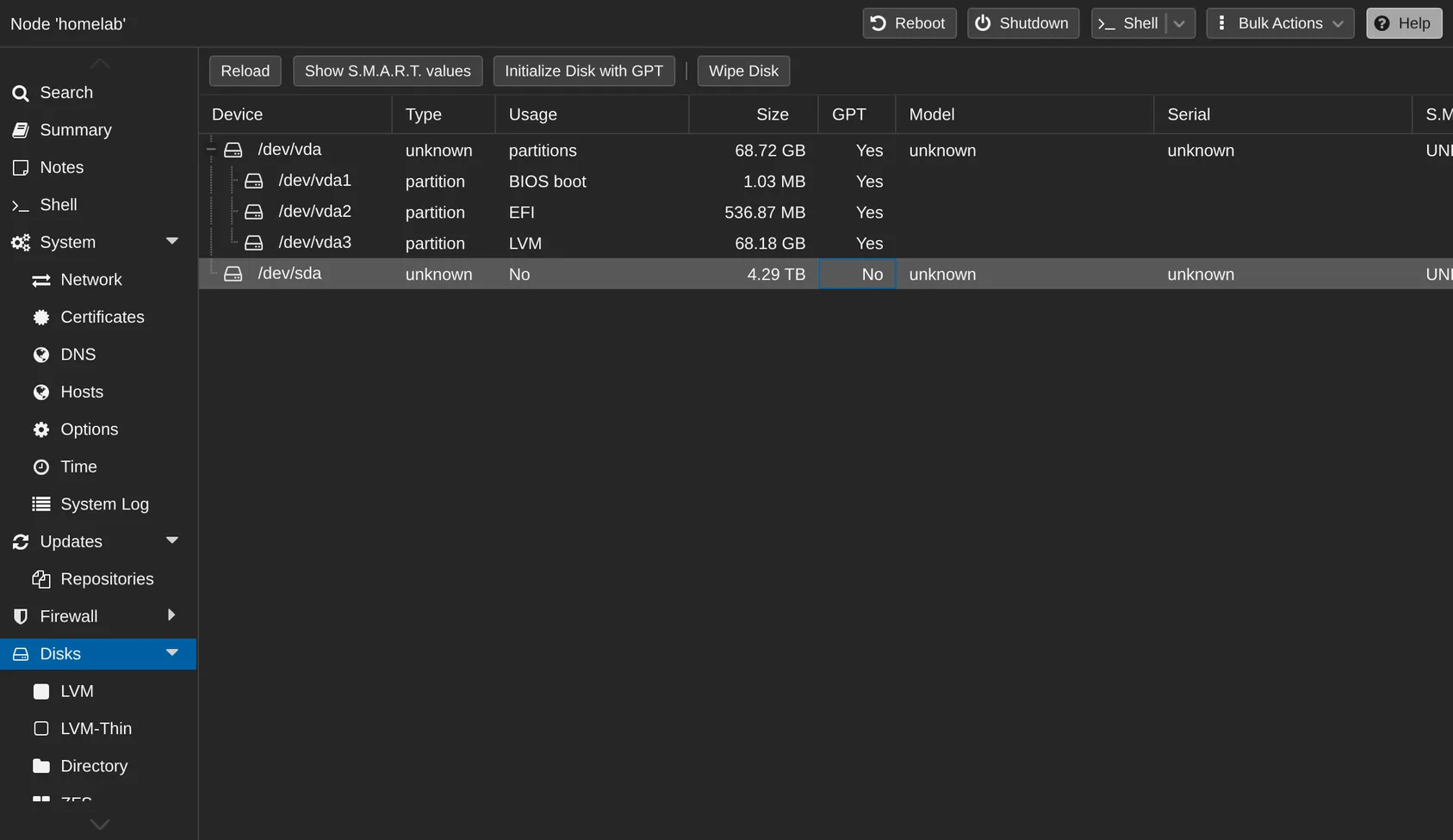 The Disks panel lists every drive in the server.