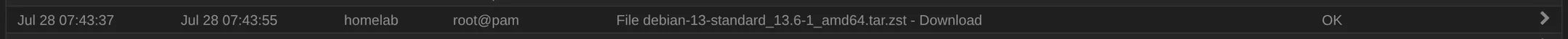 The task row for the template download, with status OK.
